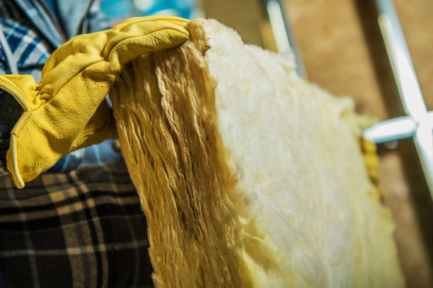 Best Commercial Insulation in Farmington, NM