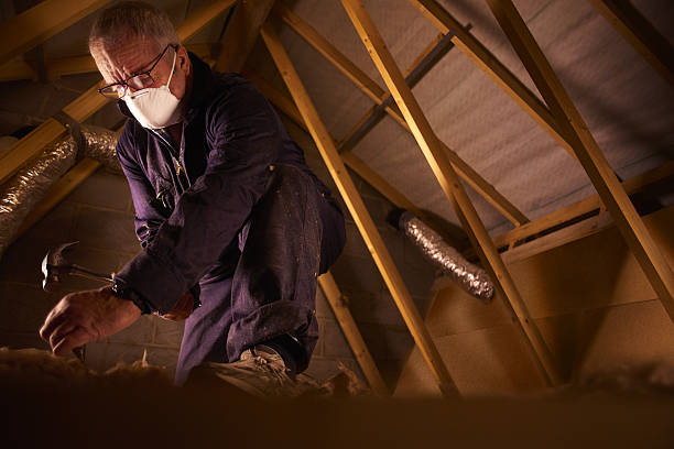Best Insulation Installation Services in Farmington, NM